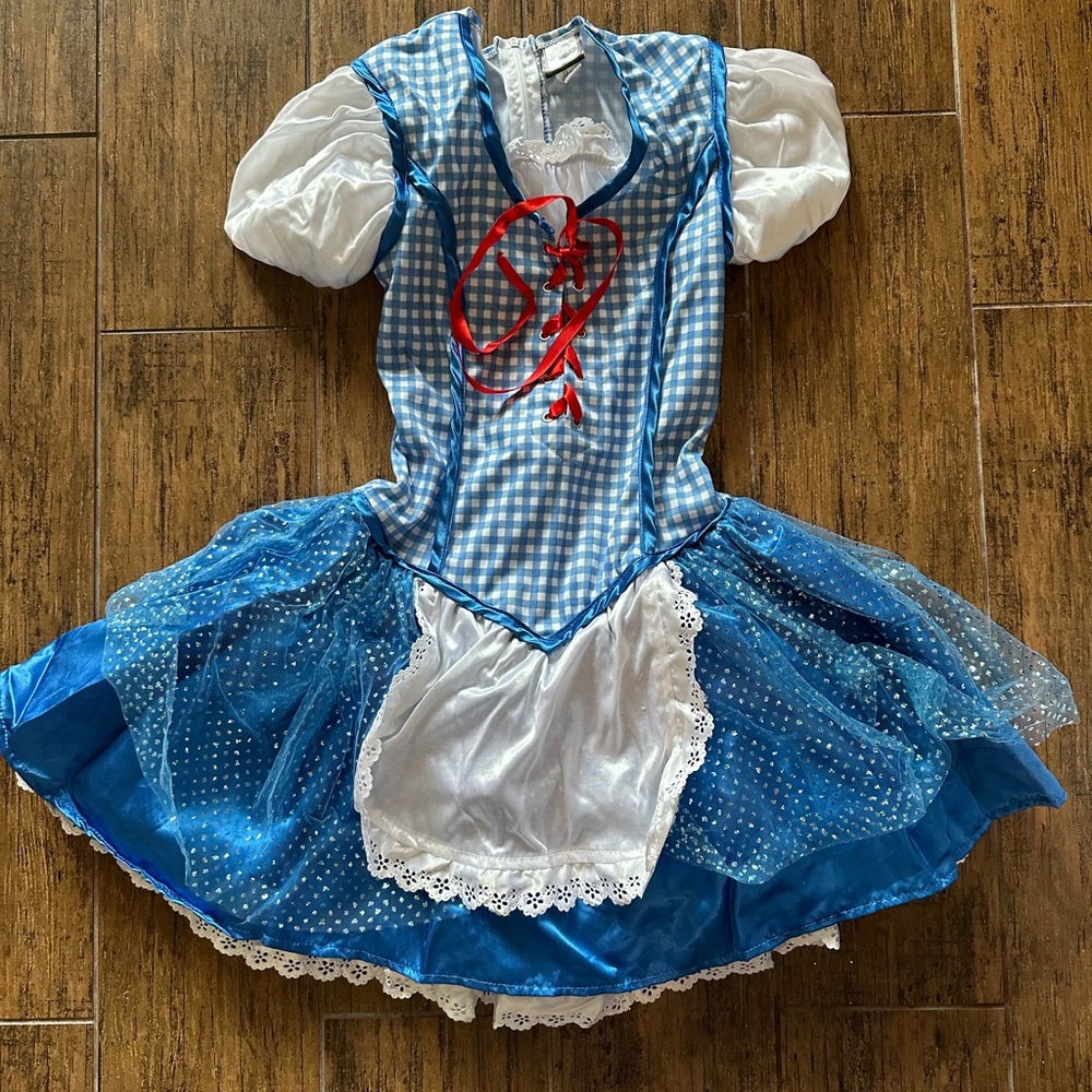 Girls Size 14 Dorthy Costume